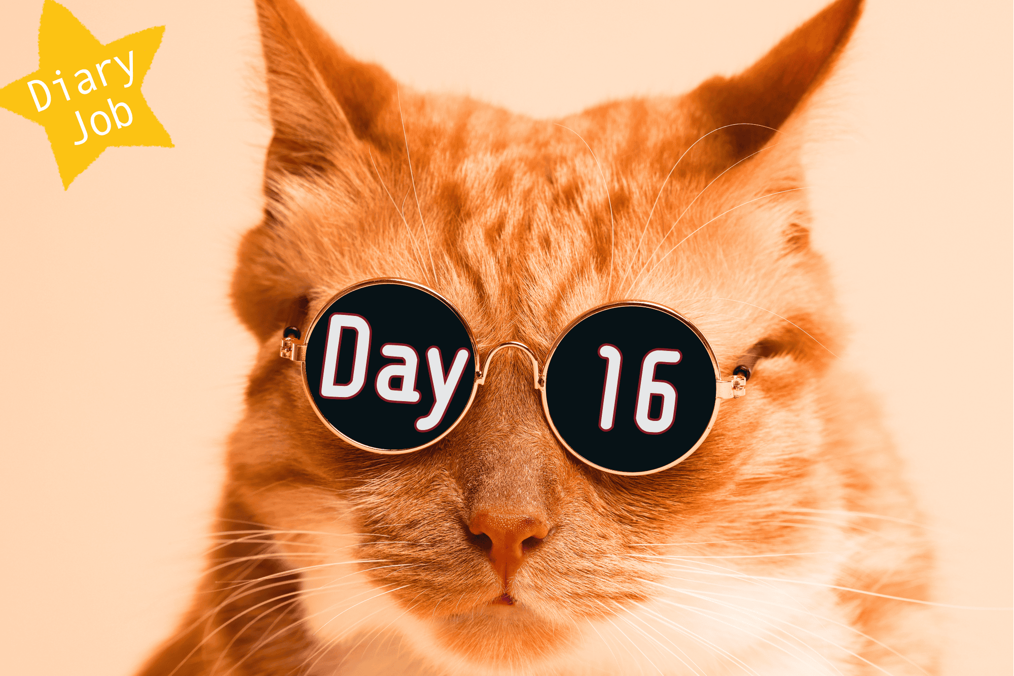 Urfit Day 16